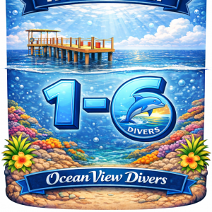 Tauchen am Hausriff: Tauchgänge 1-6 (flexibel)